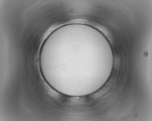 X0000090701478200708101431
