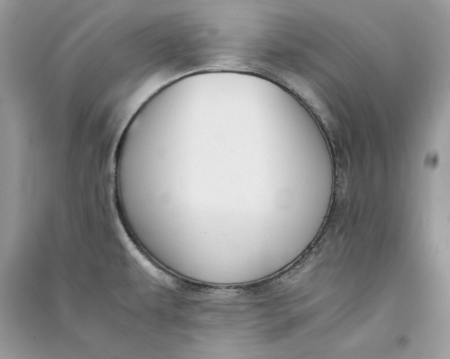 X0000090701479200708101431