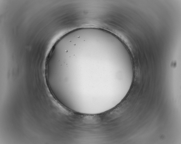 X0000090701480200708101431