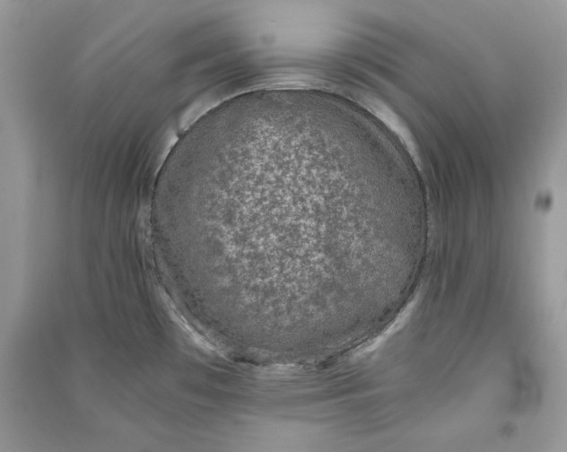 X0000090701481200708101431