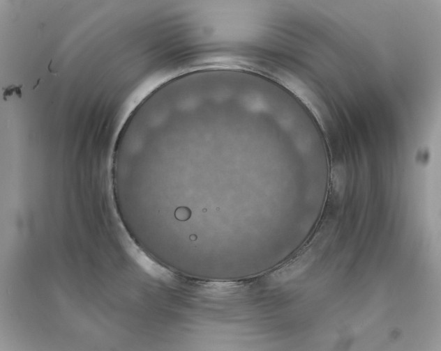 X0000090701482200708101431