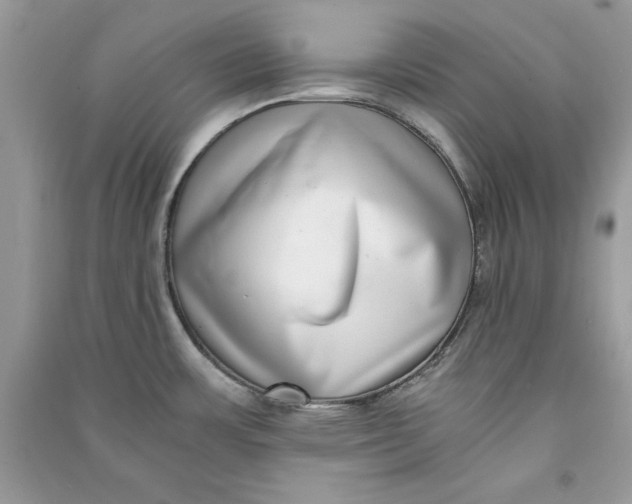 X0000090701483200708101431