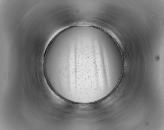 X0000090701484200708101431