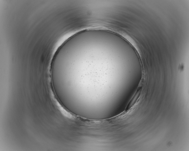 X0000090701485200708101431