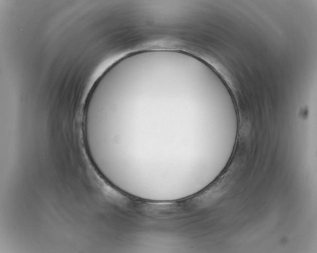 X0000090701486200708101431
