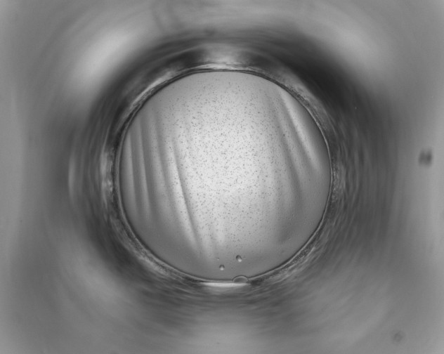 X0000090701487200708101431