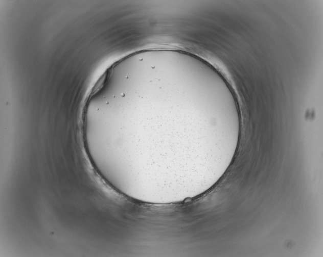 X0000090701488200708101431