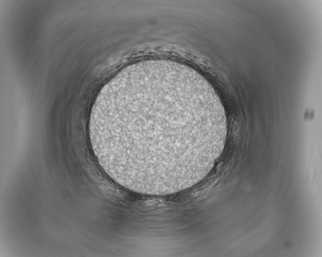 X0000090701489200708101430