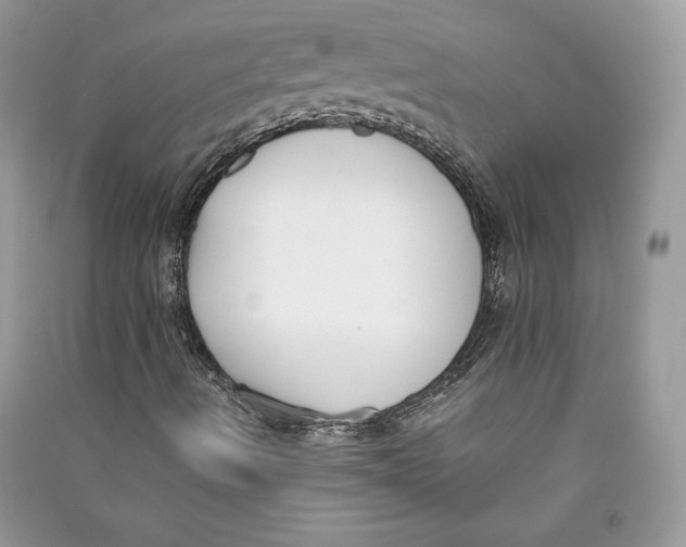 X0000090701490200708101430