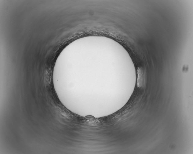 X0000090701491200708101430