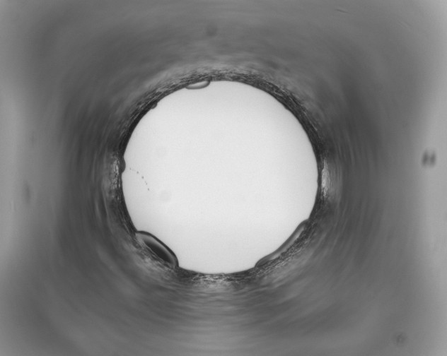 X0000090701492200708101430
