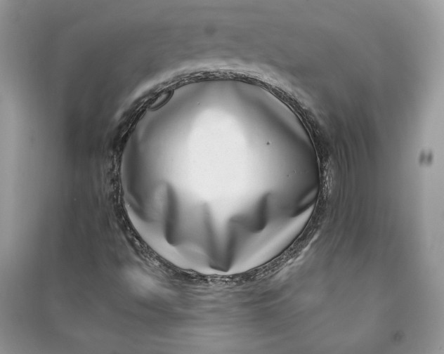 X0000090701494200708101430