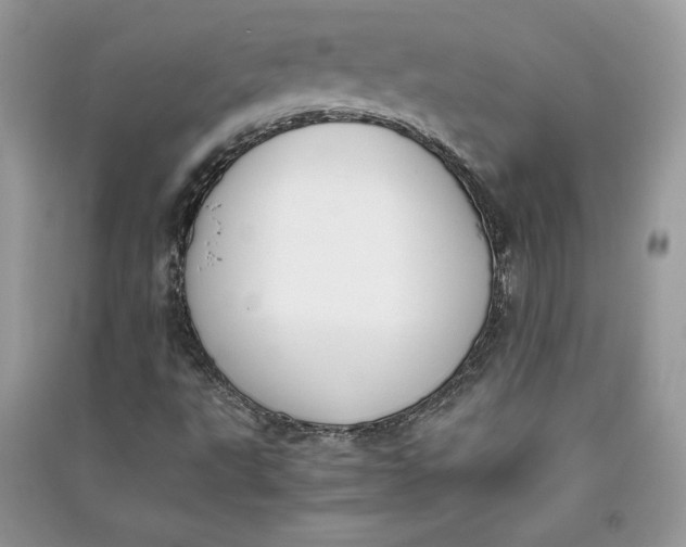 X0000090701495200708101430