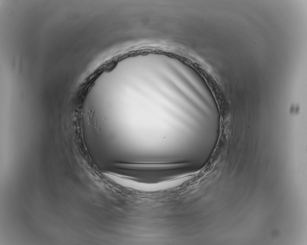 X0000090701496200708101430