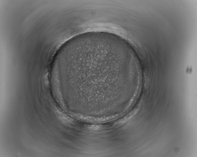 X0000090701497200708101430