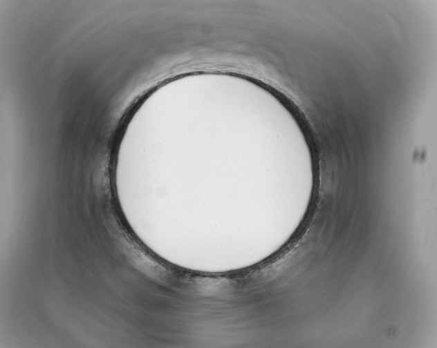 X0000090701498200708101430