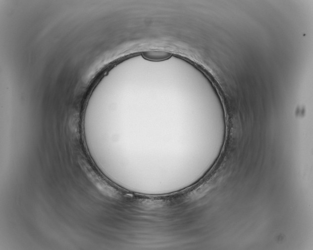 X0000090701499200708101430