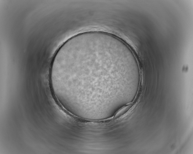 X0000090701500200708101430