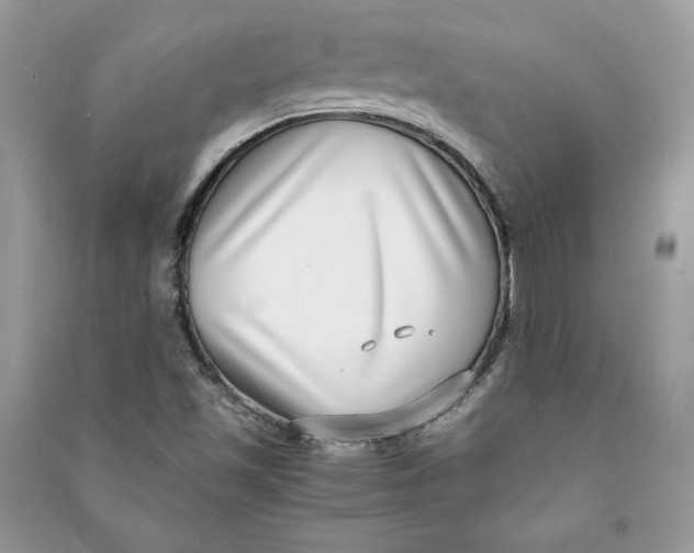 X0000090701501200708101430