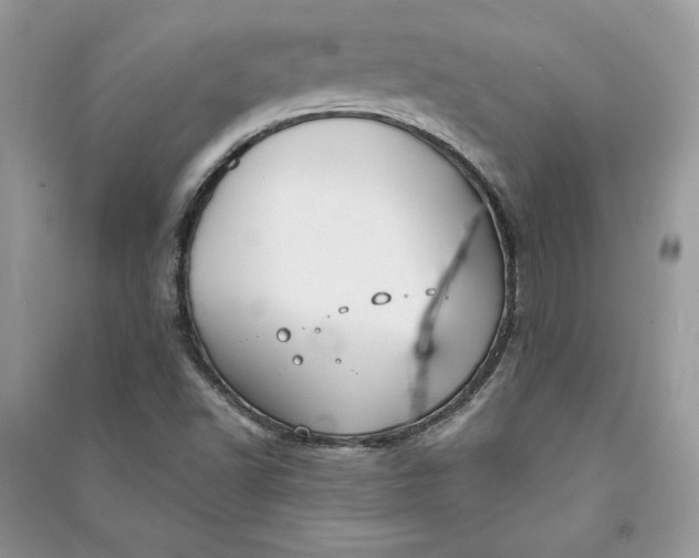 X0000090701502200708101430