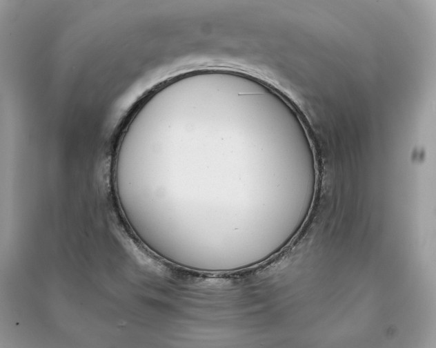 X0000090701503200708101430