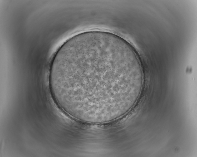 X0000090701504200708101430