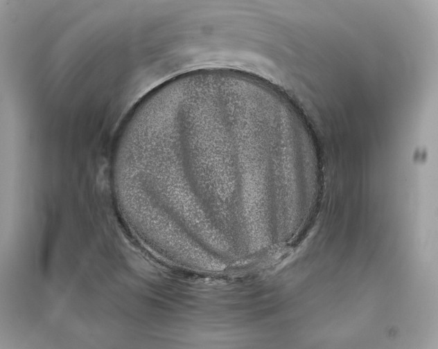 X0000090701505200708101431