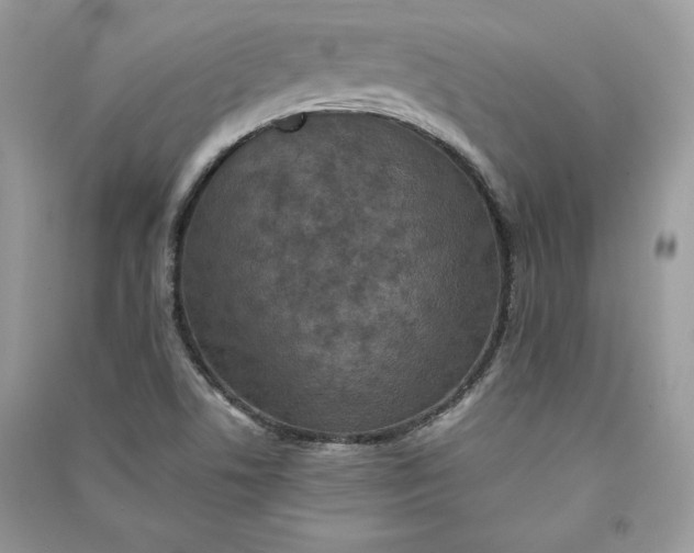 X0000090701506200708101431