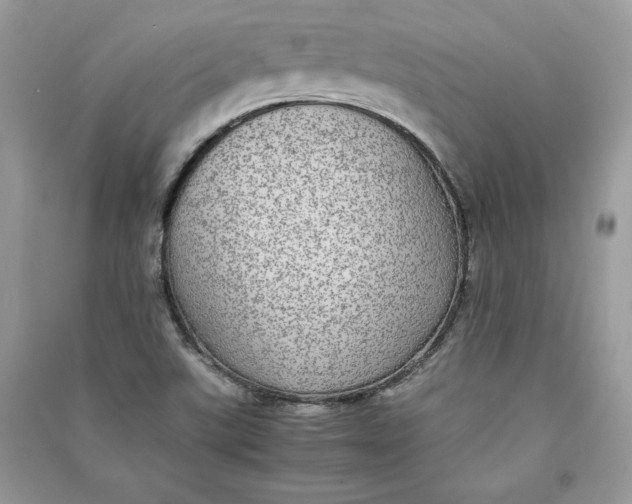 X0000090701507200708101431