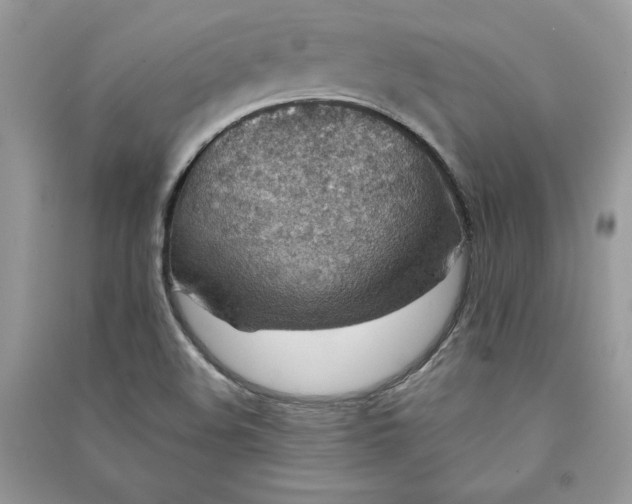 X0000090701508200708101431