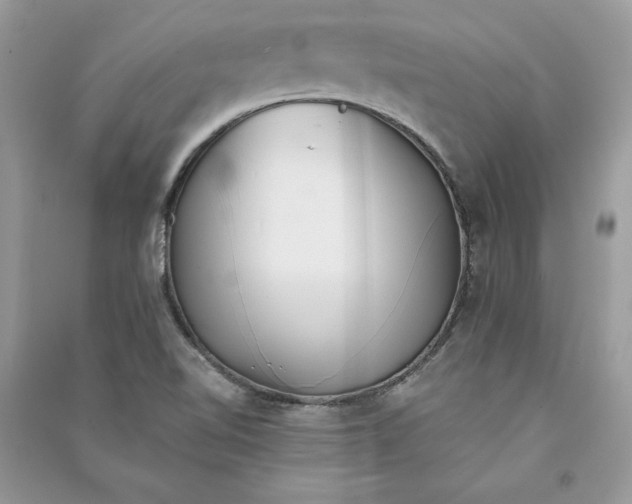 X0000090701510200708101431