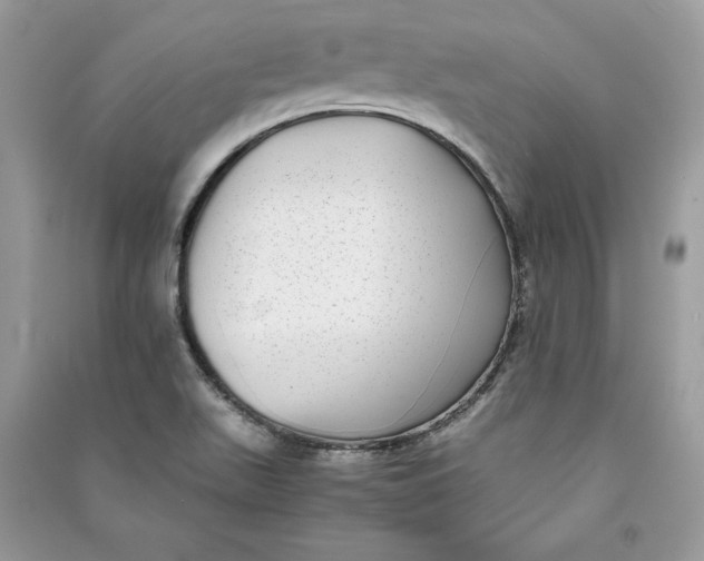 X0000090701511200708101431