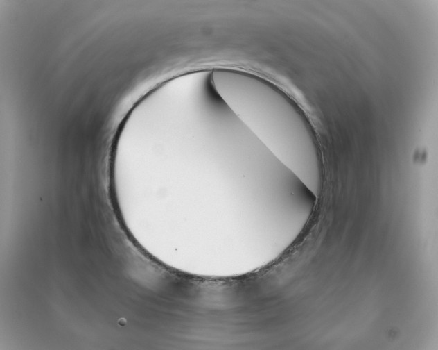 X0000090701512200708101431