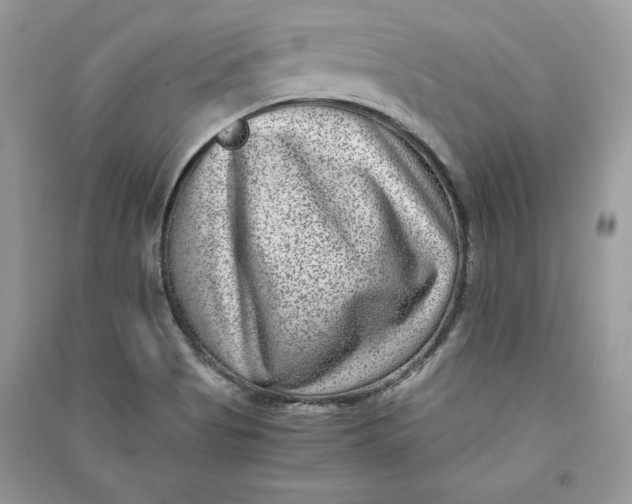 X0000090701513200708101431