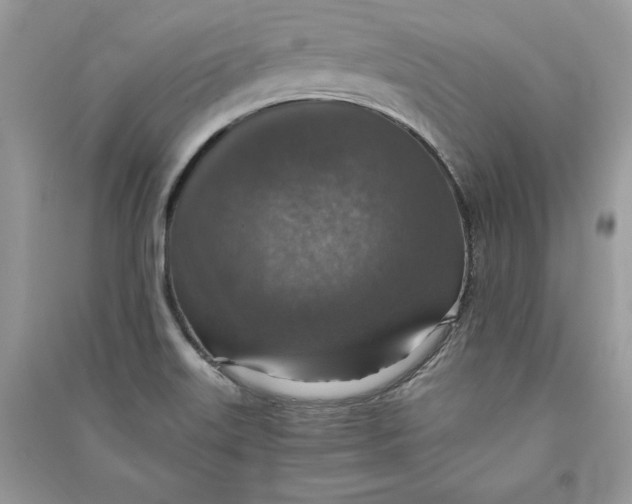 X0000090701515200708101431