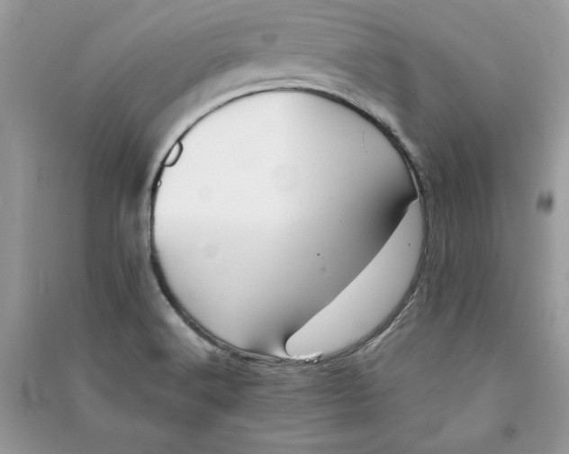 X0000090701516200708101431