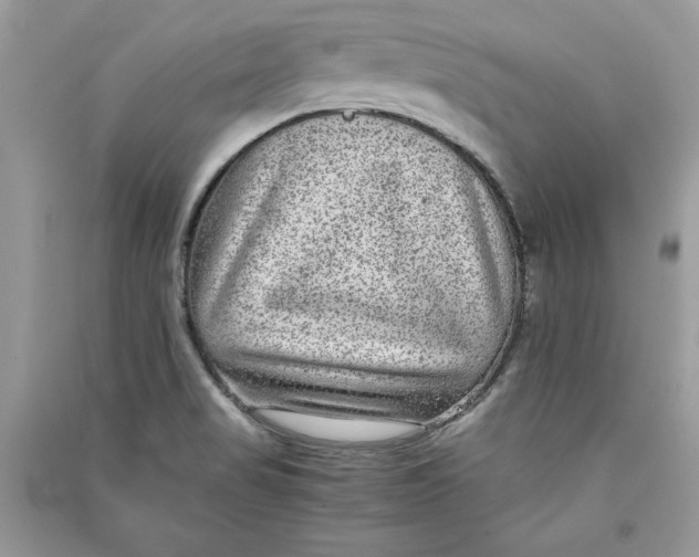 X0000090701517200708101431