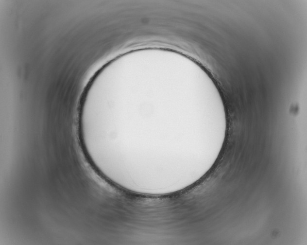 X0000090701518200708101431
