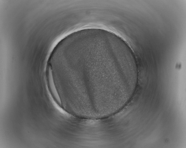 X0000090701519200708101431