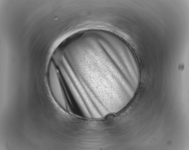 X0000090701520200708101431