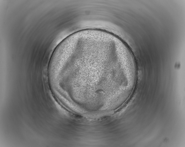 X0000090701521200708101431