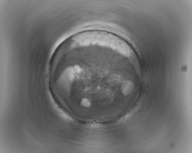 X0000090701522200708101431