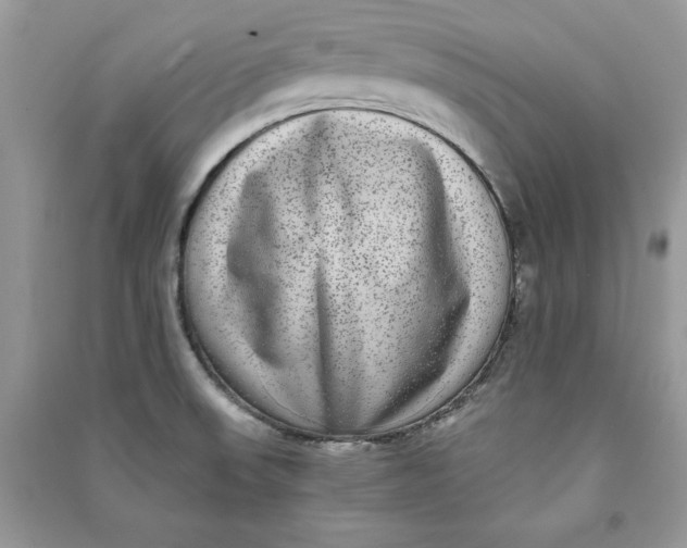 X0000090701523200708101431