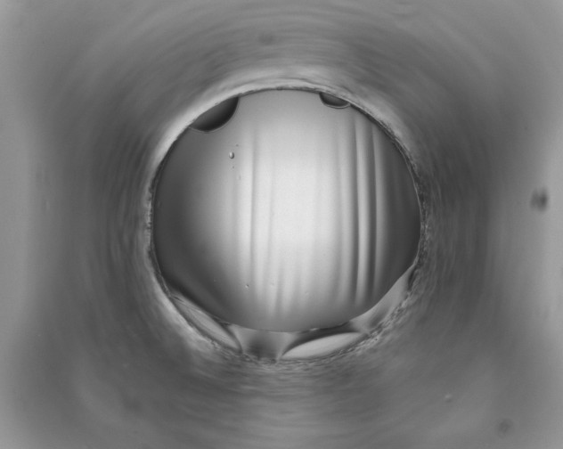 X0000090701524200708101431