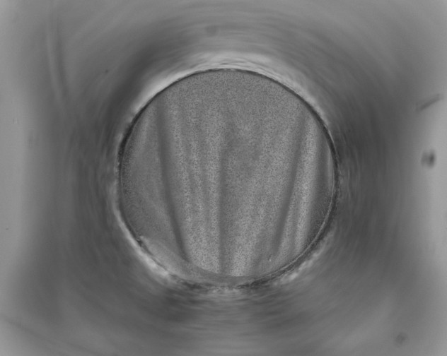 X0000090701525200708101431