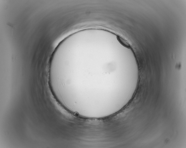 X0000090701526200708101431