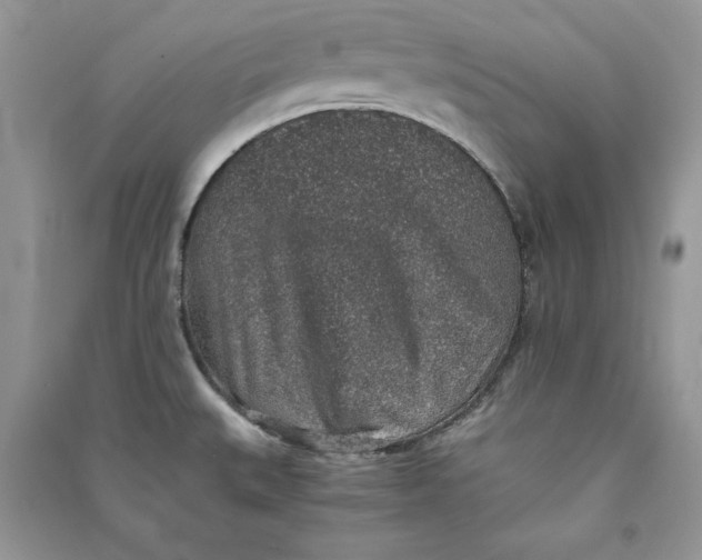 X0000090701527200708101431