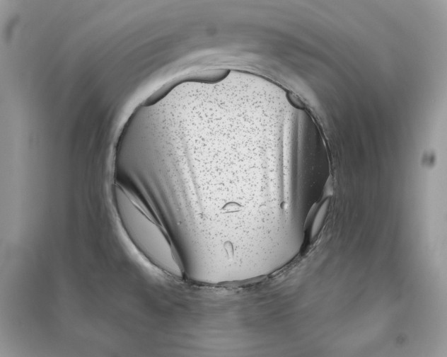 X0000090701528200708101431