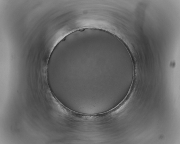 X0000090701529200708101431