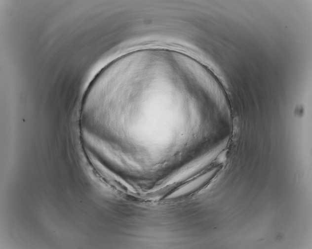 X0000090701530200708101431